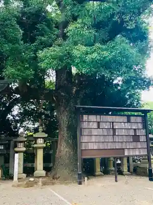 石清水八幡宮(京都府)