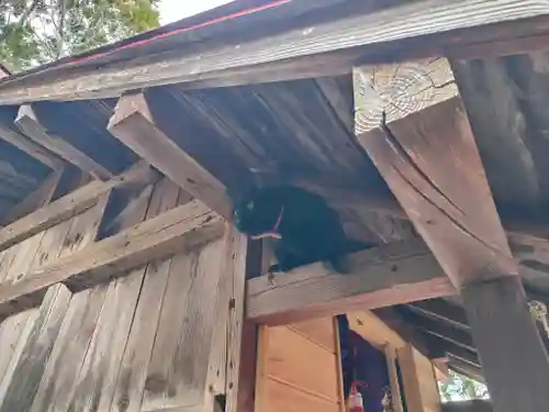 高司神社〜むすびの神の鎮まる社〜(福島県)