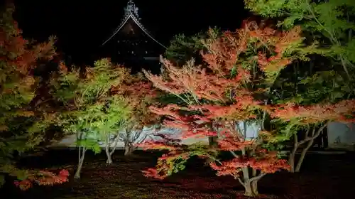 妙覺寺（妙覚寺）の庭園