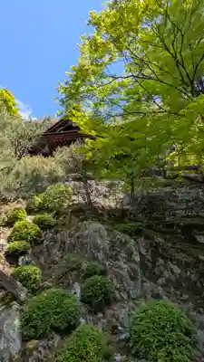 知恩院(京都府)