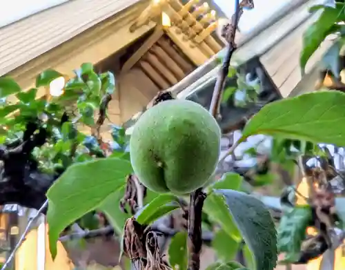 刈田神社(北海道)