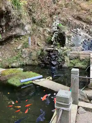 大山寺(神奈川県)