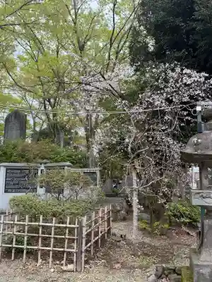 大國魂神社(東京都)