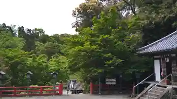 根来寺 不動堂(和歌山県)