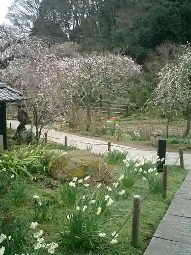 東慶寺の庭園