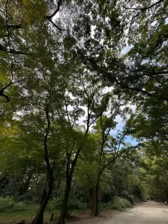 賀茂御祖神社(下鴨神社)(京都府)