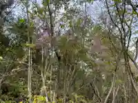 秋葉神社(京都府)