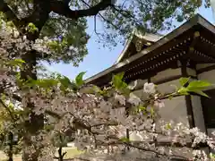 住吉神社の建物その他