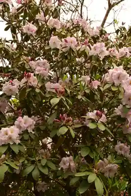 正福寺(茨城県)