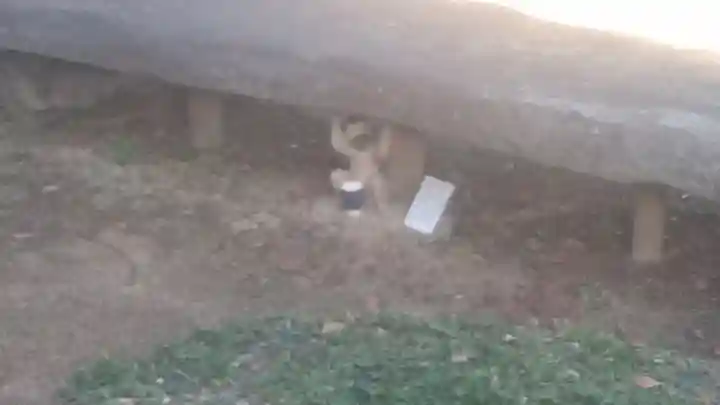 到津八幡神社(福岡県)