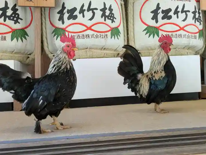 大崎八幡宮(宮城県)