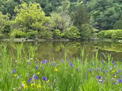 白水阿弥陀堂の庭園