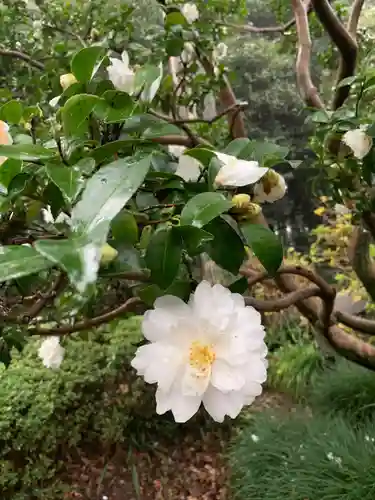 白鷺神社(栃木県)