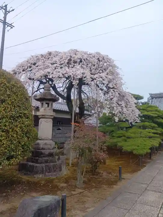寛立院(曼陀羅寺塔頭)(愛知県)