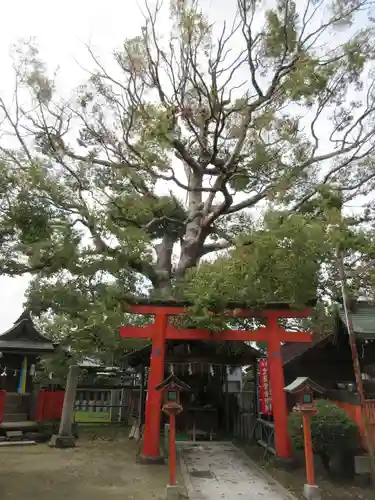 西堤神社(大阪府)