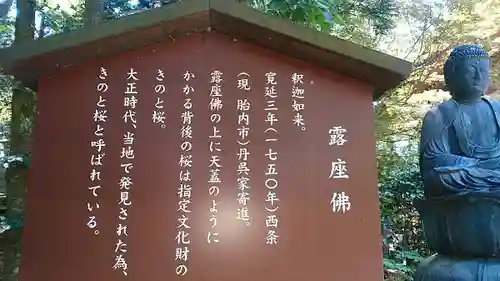 乙寳寺の歴史