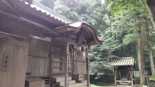 天津神社の本殿・本堂