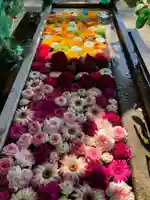 津島神社の手水舎