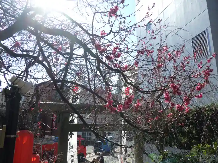 田無神社の自然