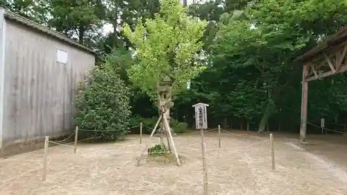 常陸國總社宮の庭園