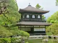 慈照寺(慈照禅寺・銀閣寺)の本殿・本堂