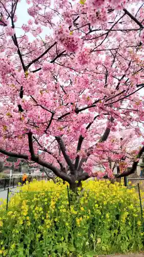 川津来宮神社(静岡県)