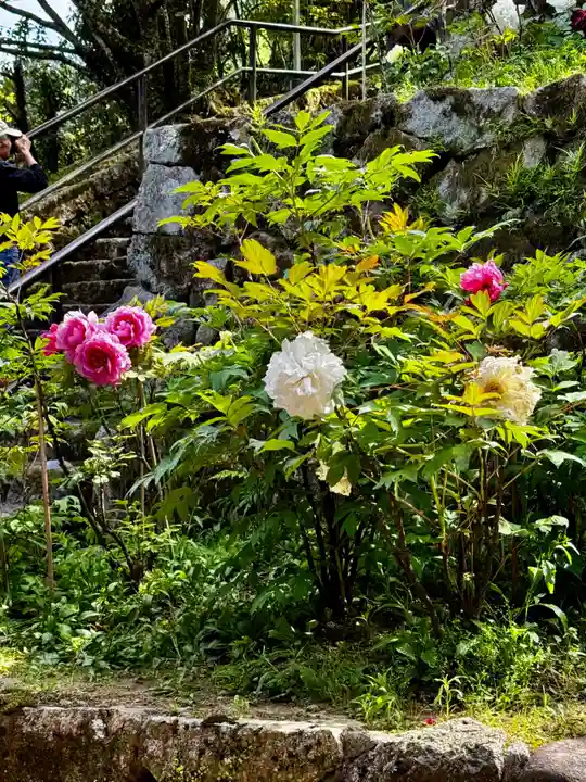 長谷寺(奈良県)