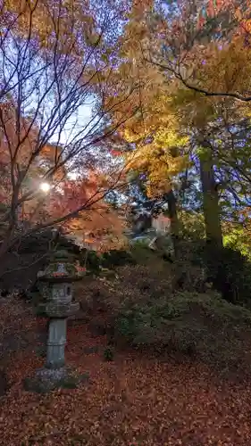 青蓮院門跡(京都府)