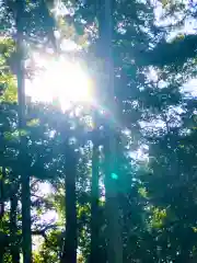 星宮神社の景色