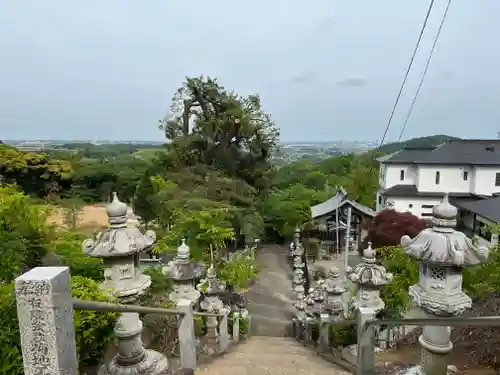 長谷寺(神奈川県)