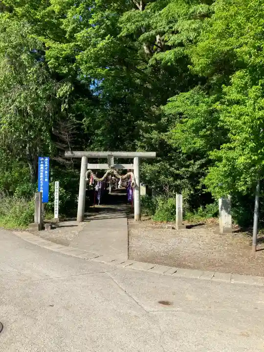 下野 星宮神社の{uncategorized: "未分類", other: "その他", undefined: "問題あり", building: "その他建物", grave: "お墓", sacred_gate: "鳥居", guardian: "狛犬", statue: "像", buddha: "仏像", history: "歴史", nature: "自然", garden: "庭園", animal: "動物", pagoda: "塔", temizu: "手水舎", mountain_gate: "山門・神門", sanctuary: "本殿・本堂", subordinate: "末社・摂社", art: "芸術", scenery: "景色", jizo: "地蔵", ema: "絵馬", goshuin: "御朱印", omikuji: "おみくじ", items: "授与品その他", amulet: "お守り", goshuincho: "御朱印帳", eats: "食事", festival: "お祭り", votive_dance: "神楽", shichigosan: "七五三参", wedding: "結婚式", experience: "体験その他", initially: "初詣", around: "周辺", anti_infection: "感染症対策"}