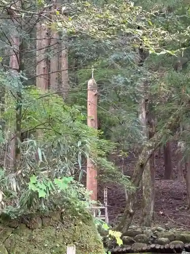 諏訪大社(長野県)