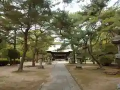 篠山神社の建物その他
