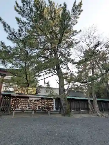 氣比神宮の{uncategorized: "未分類", other: "その他", undefined: "問題あり", building: "その他建物", grave: "お墓", sacred_gate: "鳥居", guardian: "狛犬", statue: "像", buddha: "仏像", history: "歴史", nature: "自然", garden: "庭園", animal: "動物", pagoda: "塔", temizu: "手水舎", mountain_gate: "山門・神門", sanctuary: "本殿・本堂", subordinate: "末社・摂社", art: "芸術", scenery: "景色", jizo: "地蔵", ema: "絵馬", goshuin: "御朱印", omikuji: "おみくじ", items: "授与品その他", amulet: "お守り", goshuincho: "御朱印帳", eats: "食事", festival: "お祭り", votive_dance: "神楽", shichigosan: "七五三参", wedding: "結婚式", experience: "体験その他", initially: "初詣", around: "周辺", anti_infection: "感染症対策"}