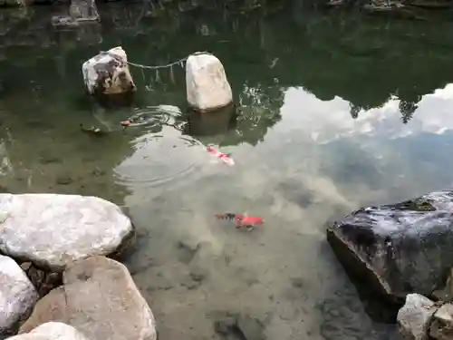 水尾神社の庭園