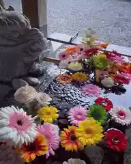 滑川神社 - 仕事と子どもの守り神の手水