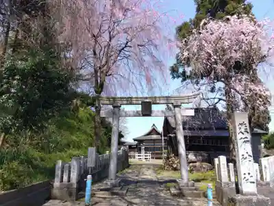 熊野神社(福井県)