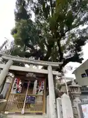 粉河寺(和歌山県)