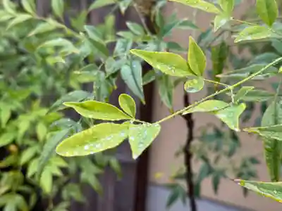 西方山極楽寺(岐阜県)
