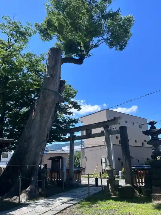 科野大宮社(長野県)