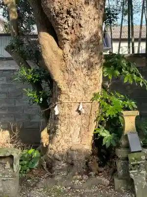 宇美神社の{uncategorized: "未分類", other: "その他", undefined: "問題あり", building: "その他建物", grave: "お墓", sacred_gate: "鳥居", guardian: "狛犬", statue: "像", buddha: "仏像", history: "歴史", nature: "自然", garden: "庭園", animal: "動物", pagoda: "塔", temizu: "手水舎", mountain_gate: "山門・神門", sanctuary: "本殿・本堂", subordinate: "末社・摂社", art: "芸術", scenery: "景色", jizo: "地蔵", ema: "絵馬", goshuin: "御朱印", omikuji: "おみくじ", items: "授与品その他", amulet: "お守り", goshuincho: "御朱印帳", eats: "食事", festival: "お祭り", votive_dance: "神楽", shichigosan: "七五三参", wedding: "結婚式", experience: "体験その他", initially: "初詣", around: "周辺", anti_infection: "感染症対策"}