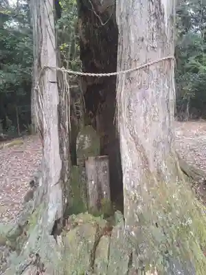 正平寺(大分県)