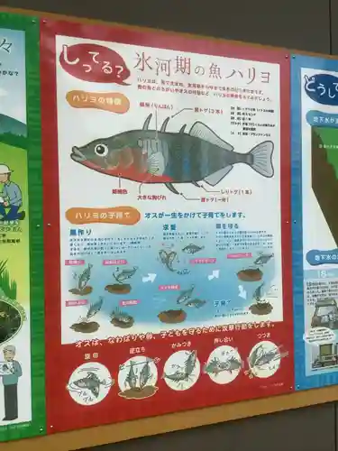 加賀野八幡神社の自然