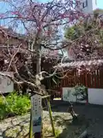 源九郎稲荷神社(奈良県)