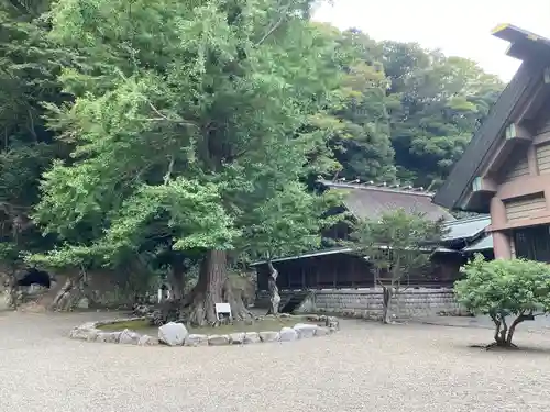 安房神社(千葉県)