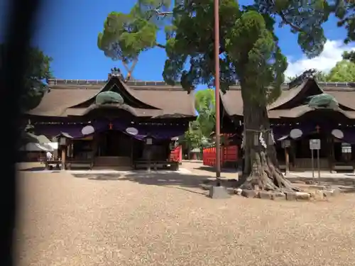 住吉大社の本殿