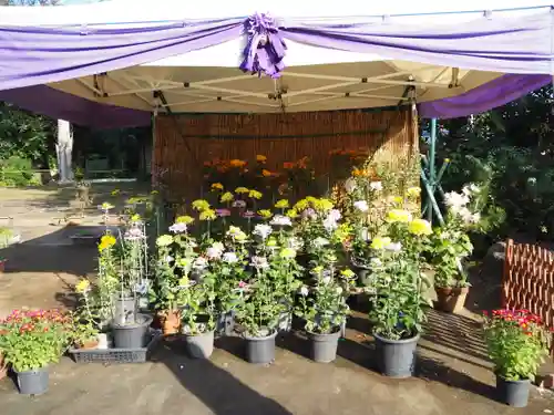 稲荷神社(東京都)