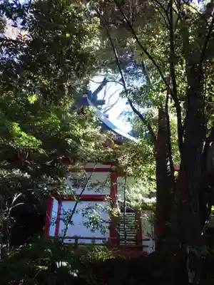 來宮神社の本殿・本堂