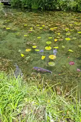 根道神社(岐阜県)