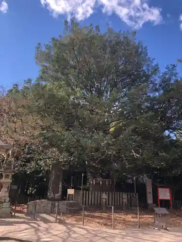 熊野速玉大社(和歌山県)